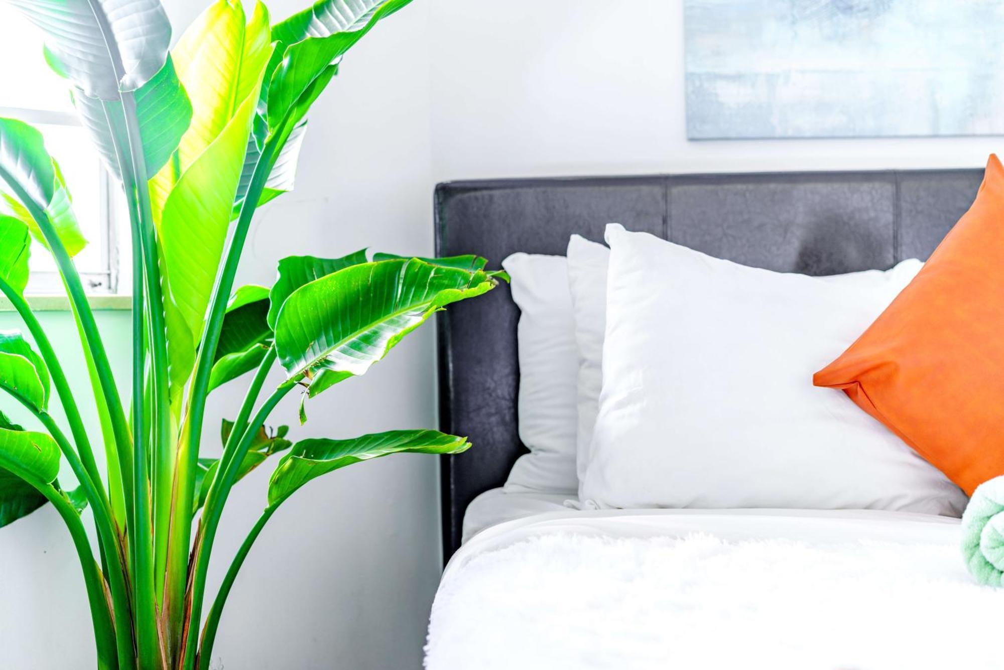 Short North Convention Private Parking Pets Apartment Columbus Bagian luar foto